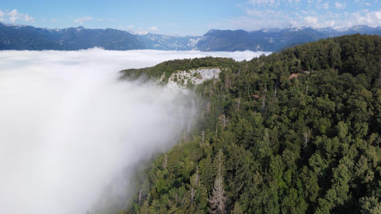 Apartma Petra Ravnik - Wanderer's Hut Lejlighed Bohinj Eksteriør billede