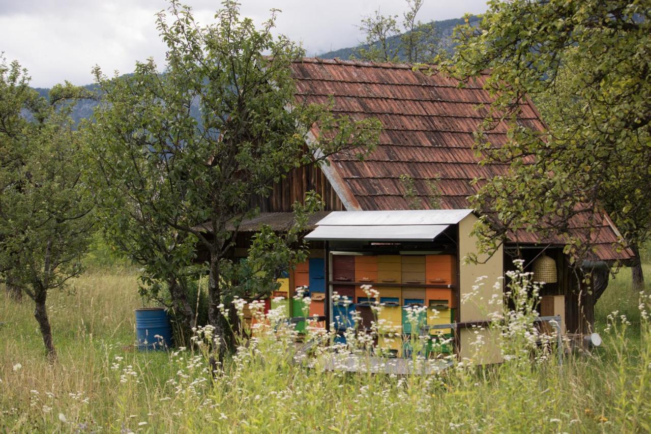 Apartma Petra Ravnik - Wanderer's Hut Lejlighed Bohinj Eksteriør billede